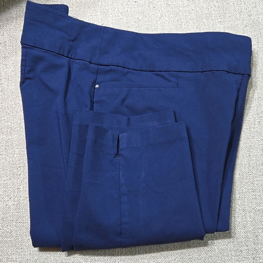 Christopher & Banks Women's 12 Ankle Pants